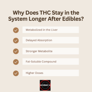 Why Does THC Stay in the System Longer After Edibles