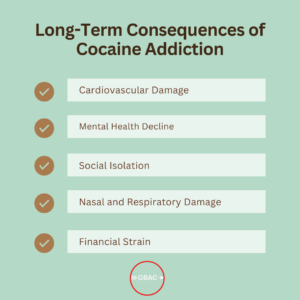 Long-Term Consequences of Cocaine Addiction